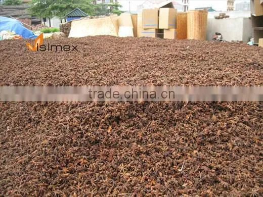 Anise/Star anise from Vietnam