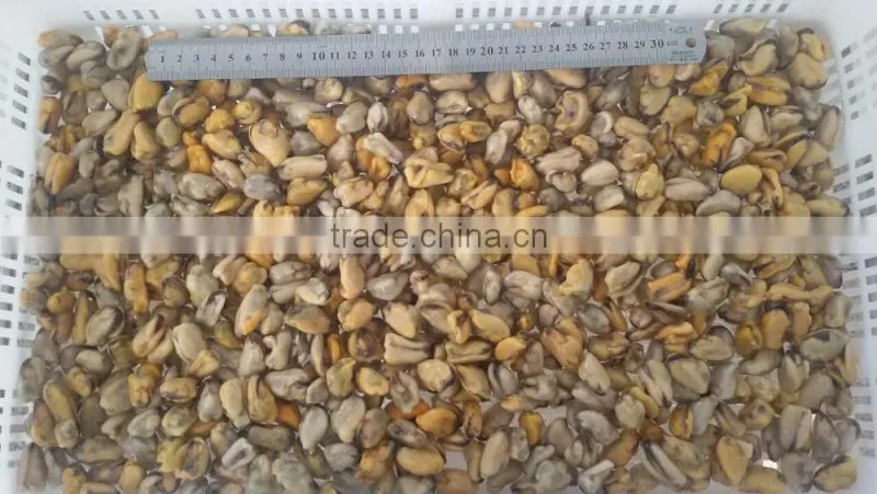 Frozen mussel boiled meat seafood price from seafood company