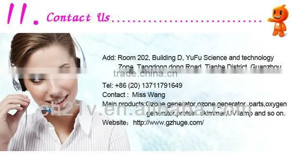 Hot! 2g ceramic ozone generator for drinking water