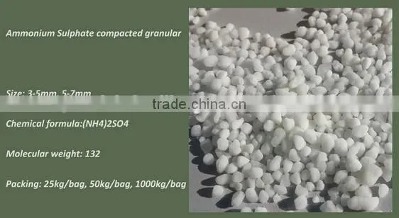 Ammonium Sulfate
