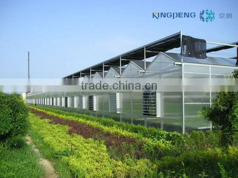 Multi Span Polycarbonate Sheet Greenhouse