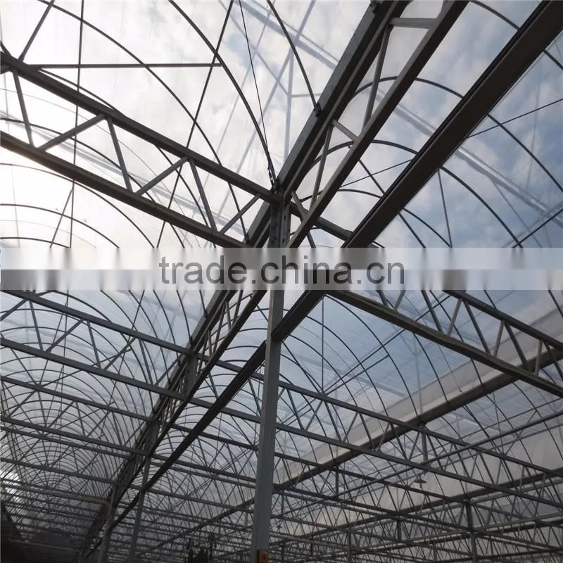 Multi Span Tunnel PE Plastic Film Hydroponic Systems Agricultural Greenhouse