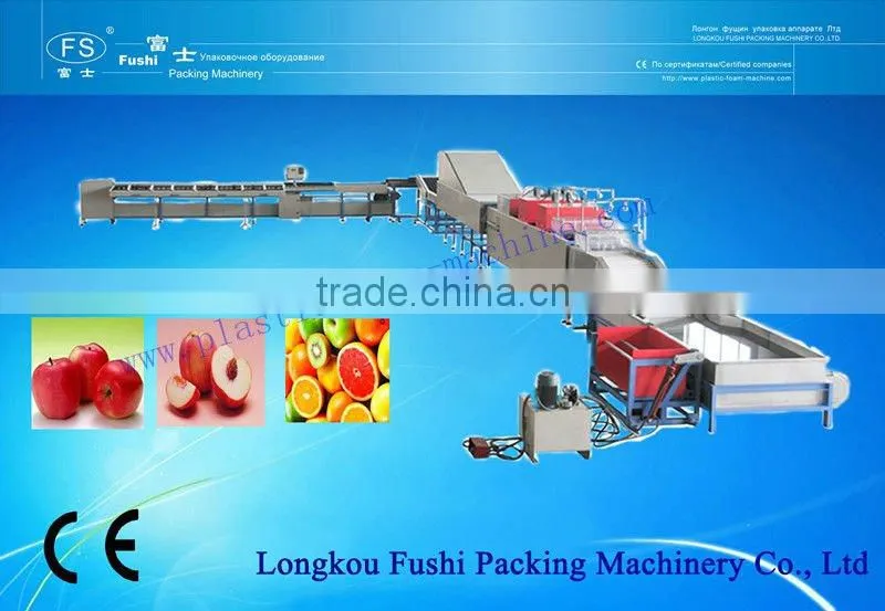 Electronic Fruit & Vegetable Washing Waxing and Grading Machine