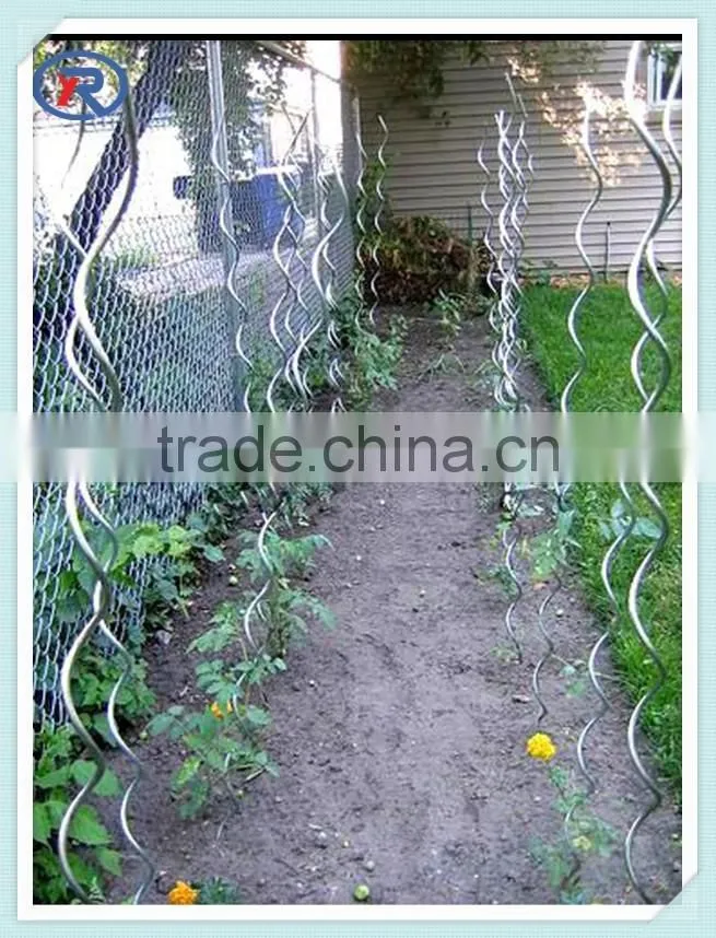 galvanized tomato metal wire plant support
