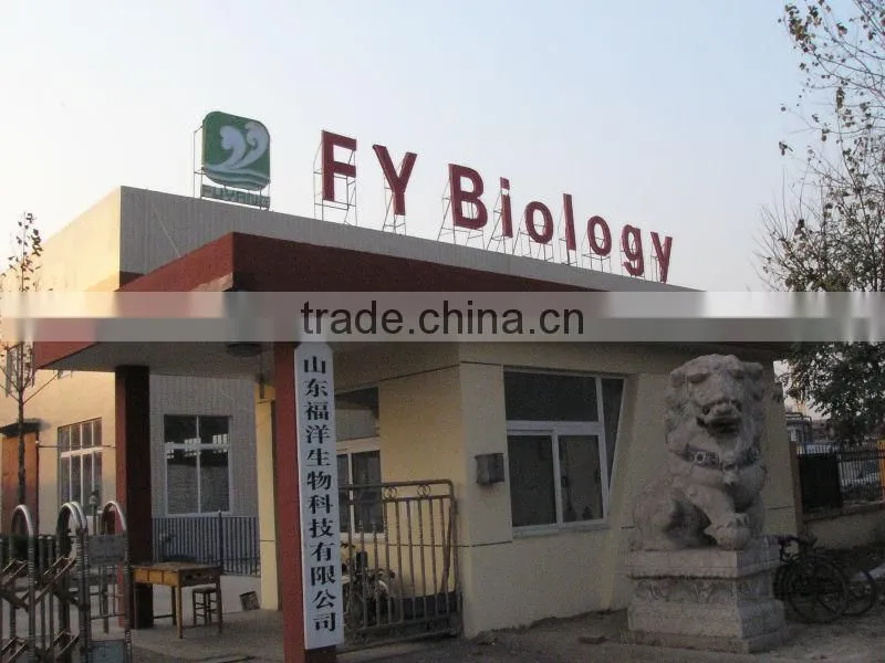Sodium Gluconate of FuYang Brand