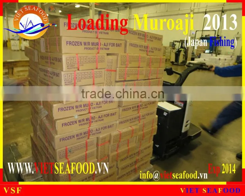 LOADING MUROAJI FOR TUNA BAIT
