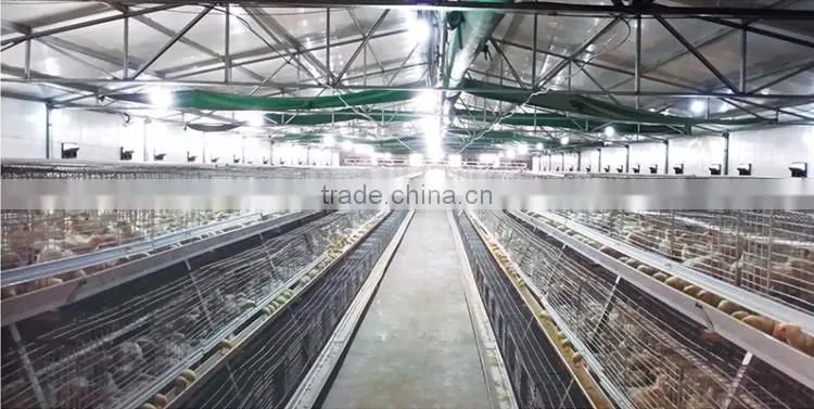 Shandong Heracles trade assurance poultry farming equipment chicken layer cage for sale