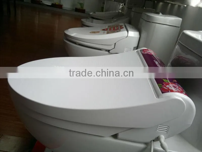 Automatic Self-cleaning Bidet/Electric Smart Porcelain Bidet Seat Cover /Shattaf Shower Sprayer