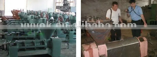 Pumpkin seed oil press machine for sale