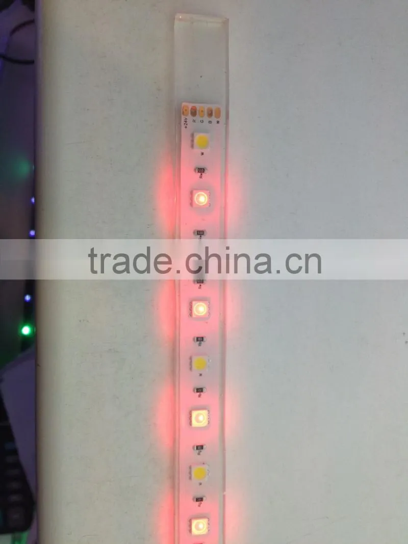 CE ROHS SMD5050 60leds/m RGB+W 12 volt led lighting