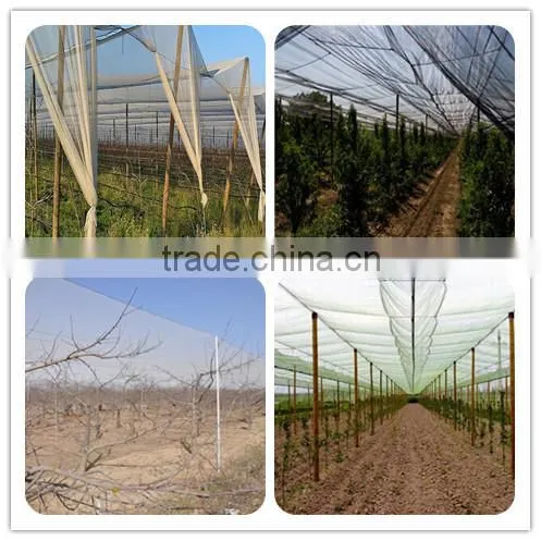 supply various apple tree anti hail net/hail protection net/anti brid net