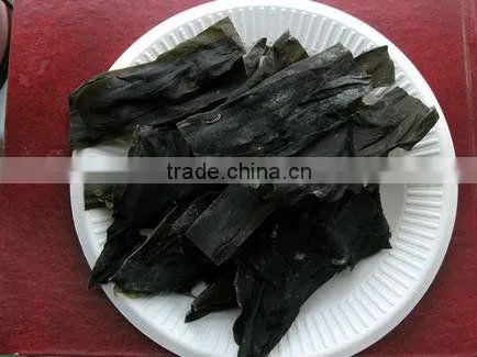 best factory supplier 100% Pure kelp extract Kelp Extract 4:1 Fucoidan 40%-95% HPLC/Kelp