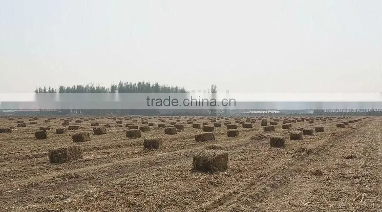 Good reputation and low price Wolwa WDK big square baler