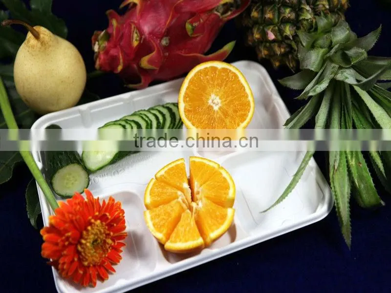 Biodegradable tapioca tableware, disposable plastic plate/dish