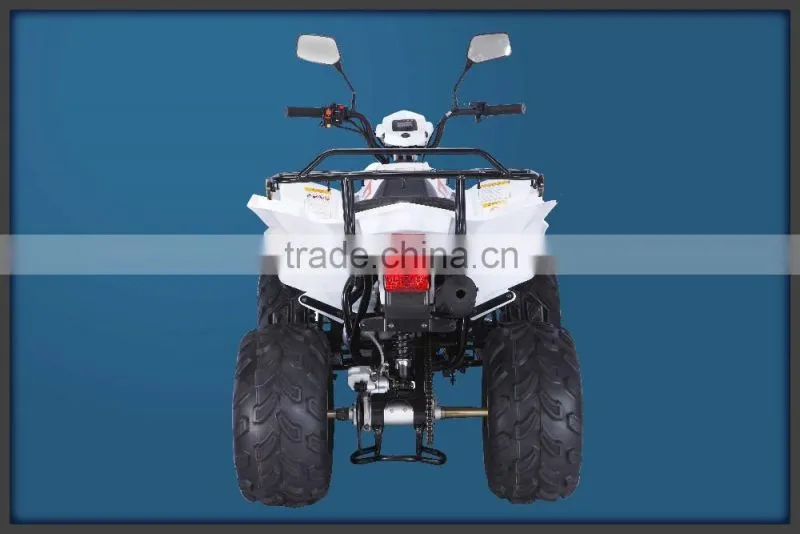 High quality beach buggy racing mountain buggy