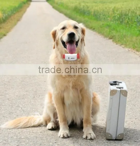 Mini DIY pet dog collars gps tracker GSM/GPRS position locator