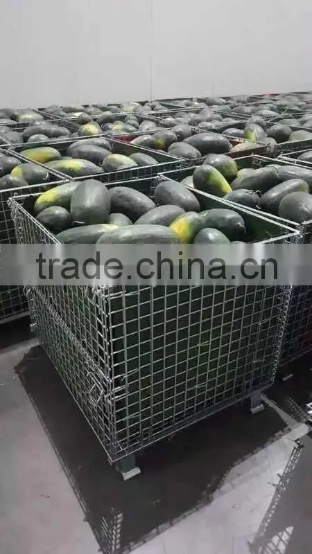 The wire for shipment with fruit vegetables