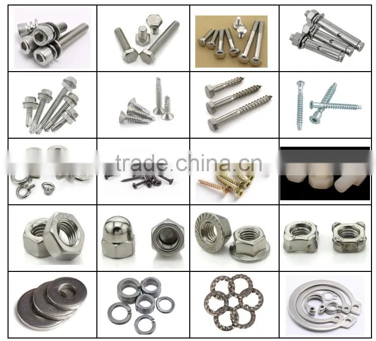 stainless bolt/stainless steel bolt