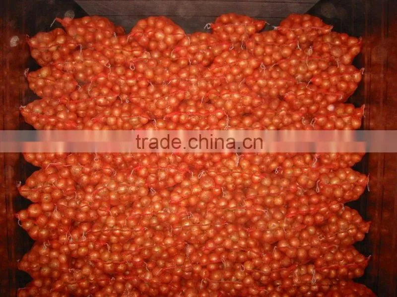 Fresh Onion Export to Dubai