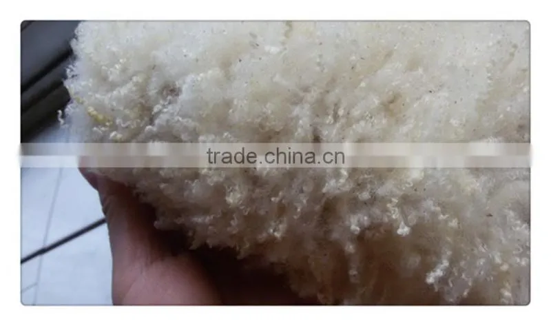 Australia merino clipped raw wool