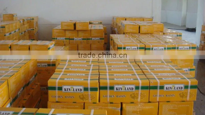 Golden sun raisins, hand selected quality