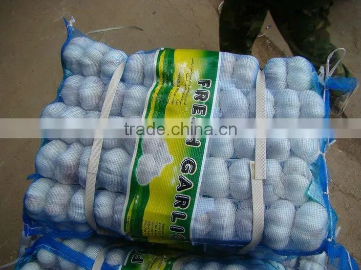 Pure white garlic packed in 10kgs/ctn