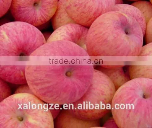 ISO , Kosher, FDA Certified Spray- dried apple powder for making beverage