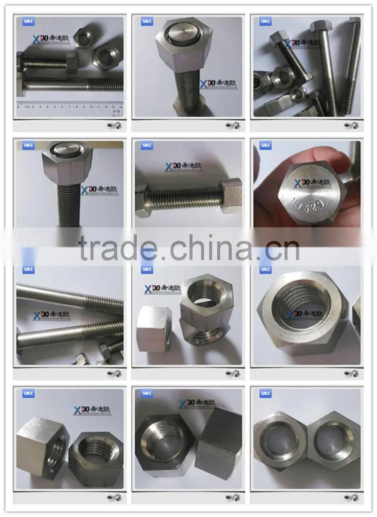 alloy GH2132 A286 EN1.4980 rivet nut bulk buy from china stainless steel fasteners