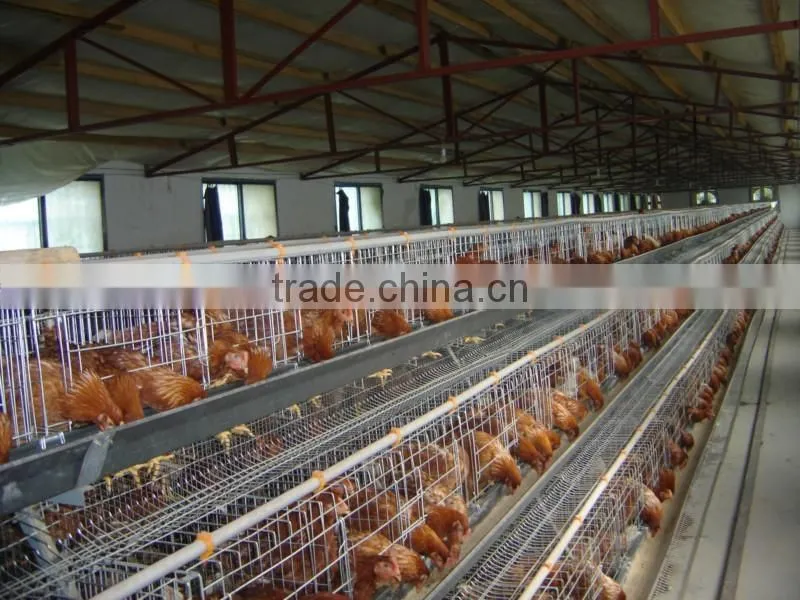 High Quality Poultry 4 Layer Chicken Cages for Poultry Chicken Egg Cages Farm