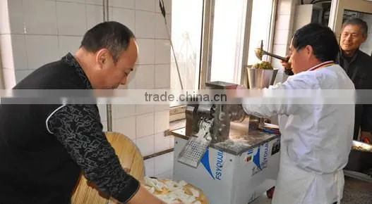CE Approved Electric Stainless Steel Ravioli Machine