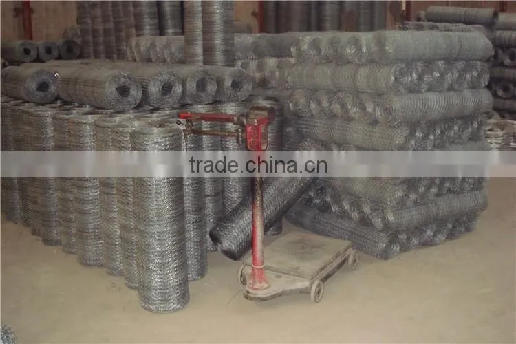 (30 years factory)Hexagonal chicken wire mesh