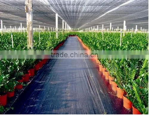 plain woven 12x12 mesh plastic weed mat