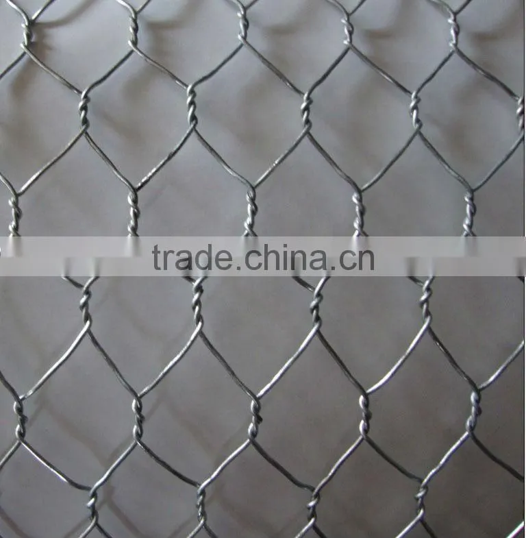 Heavy Type Hexagonal Wire Netting