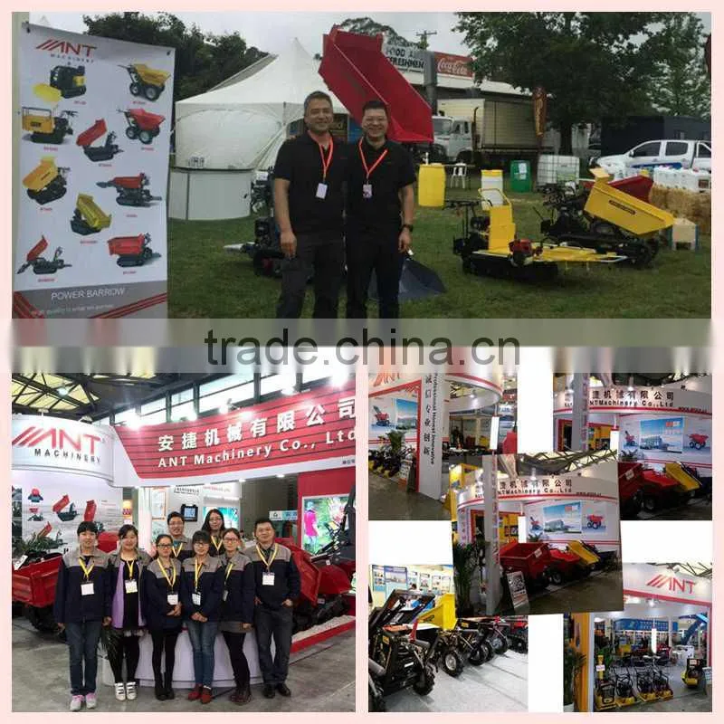 BY150 agriculture mini dumper power barrow from China
