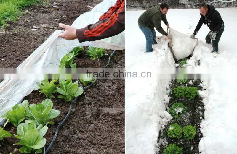 PP non woven plant tube fleece , frost protection bag