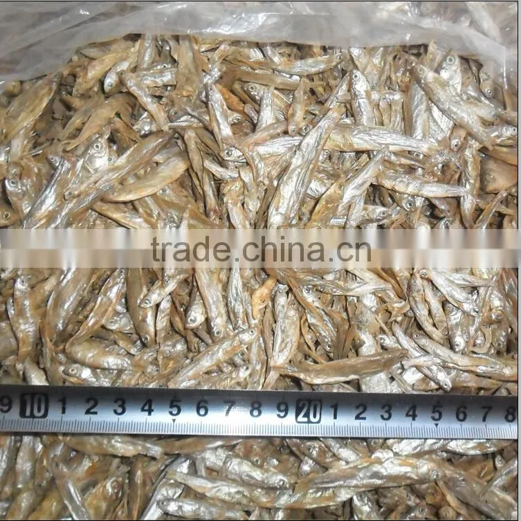 High quality and best price types of dried fish cat food