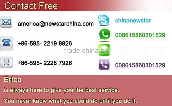 Newstar Prefered marble floor mosaic