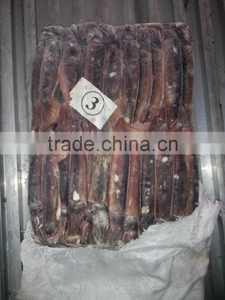 Caviar of illex squid