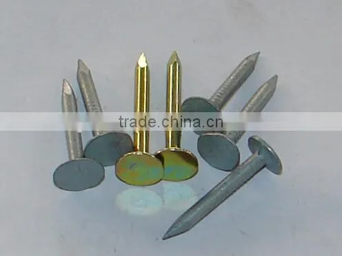 Tangshan hot selling cupper nails for sale
