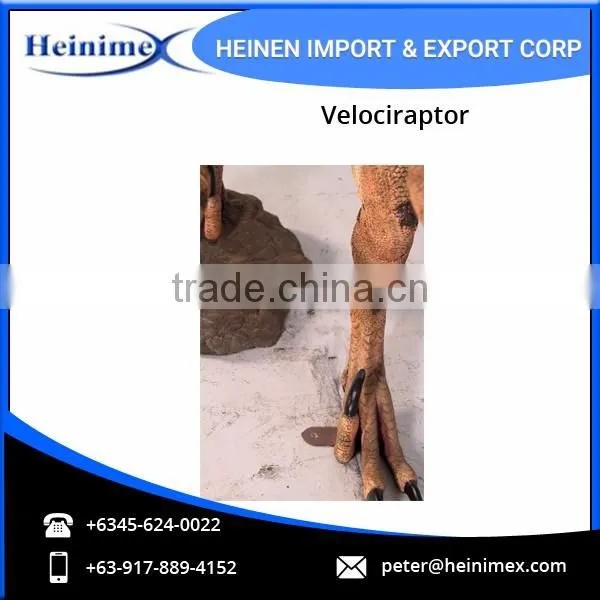 Realistic Dinosaur Velociraptor for Sale