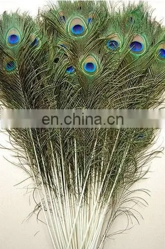Factory direct sale spot supply top quality peacock feather