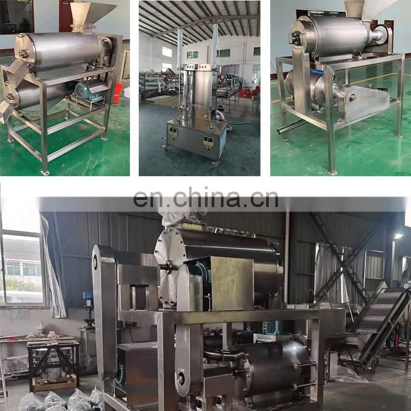 Stainless Steel Coconut Milk Screw Industrial Fruit Apple Watermelon Mango Pineapple Juice Crusher Juicer Extractor Machine
