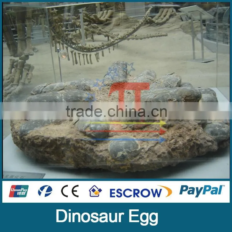 JLDE-0054 realistic dinosaur egg fossil for sale