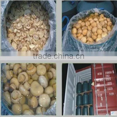 canned green pea