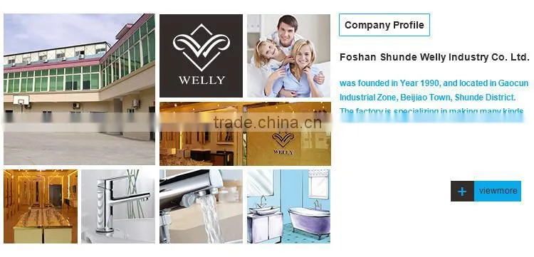 High Quality Multiple Function Saving Water Adjustable Bath Head Shower In Foshan