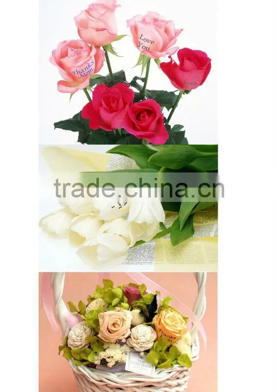 12 years gold supplier/ Digital flower printer machine equipment (UN-FL-MN103)