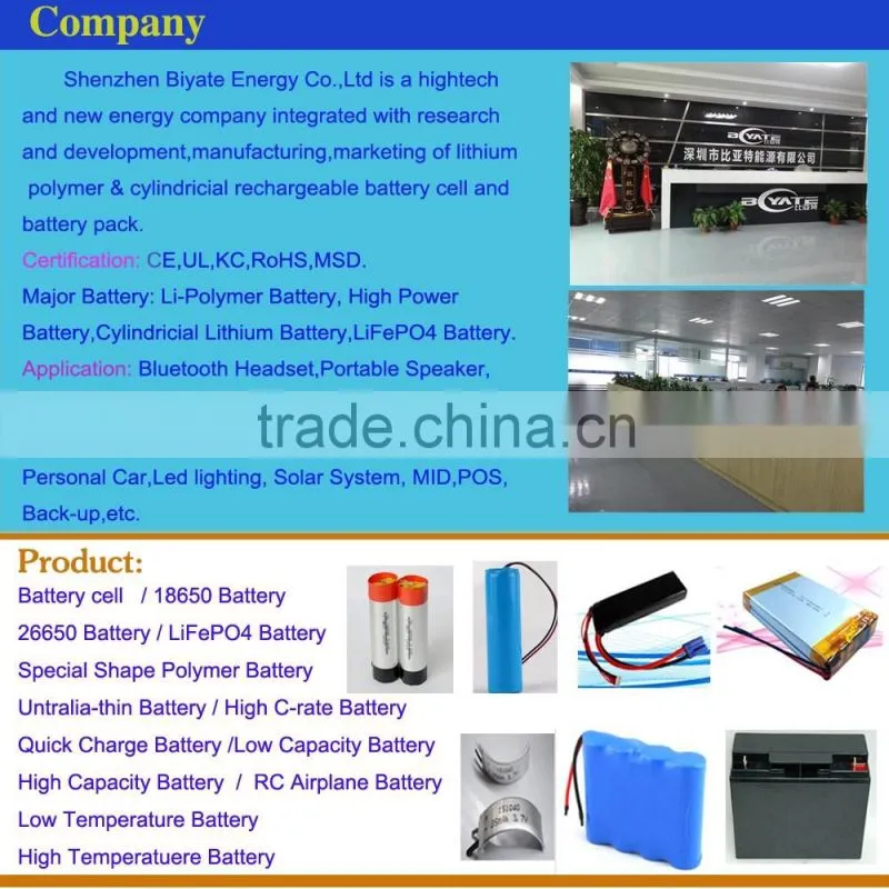 Newest 48V Lithium Battery Pack for Electric Motorcycle