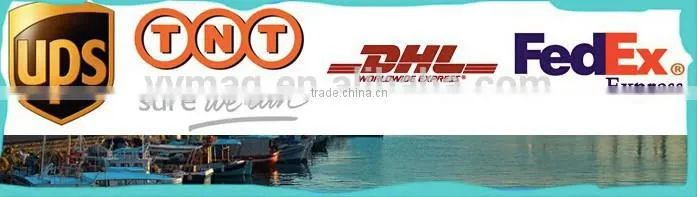 Professional high temperature magnets Smco magnet