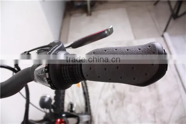 New Eagle mountain bike electric