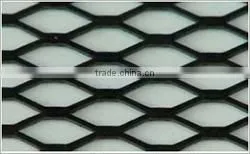 Made in Hebei SQ-PVC coated expanded metal mesh